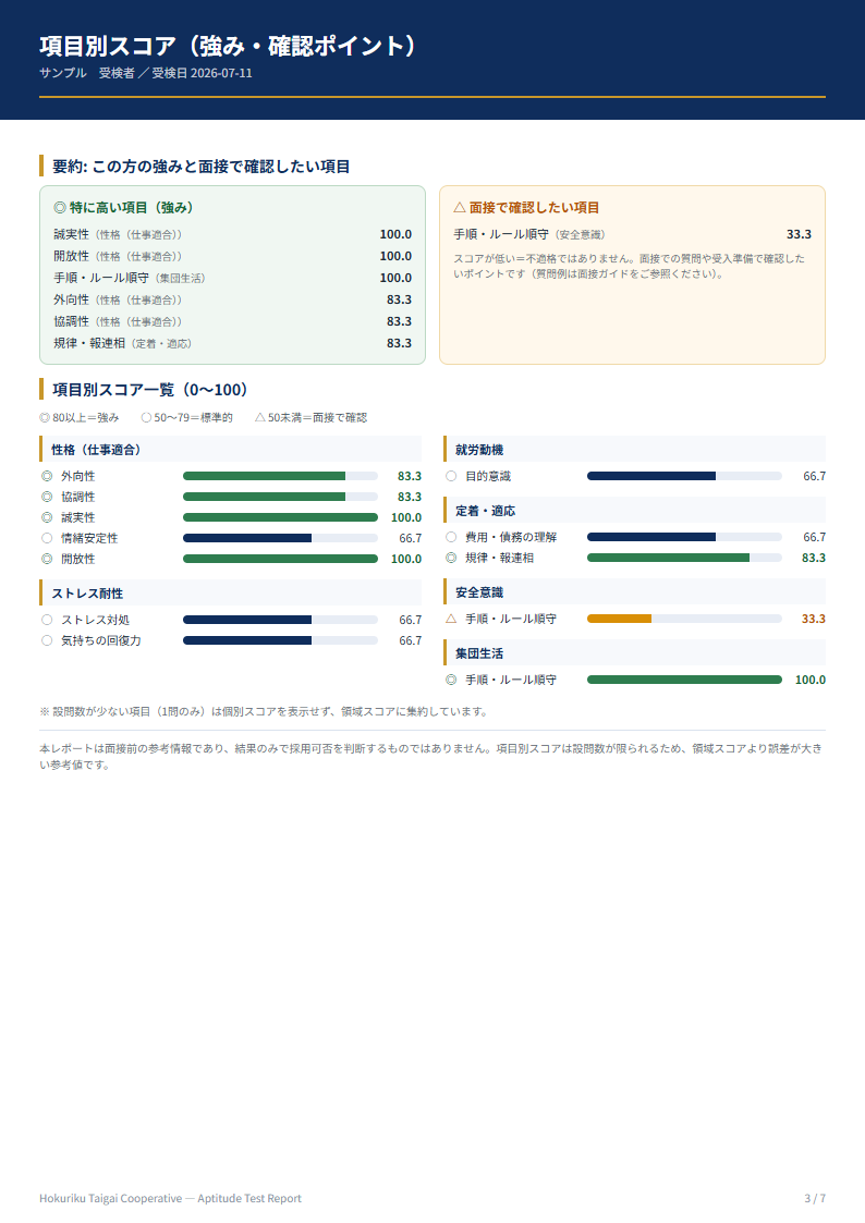 結果レポートPDF 項目別スコアのページ（サンプル）